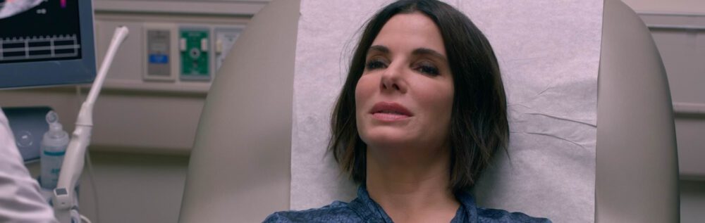 New Layout + Bird Box Screen captures Added