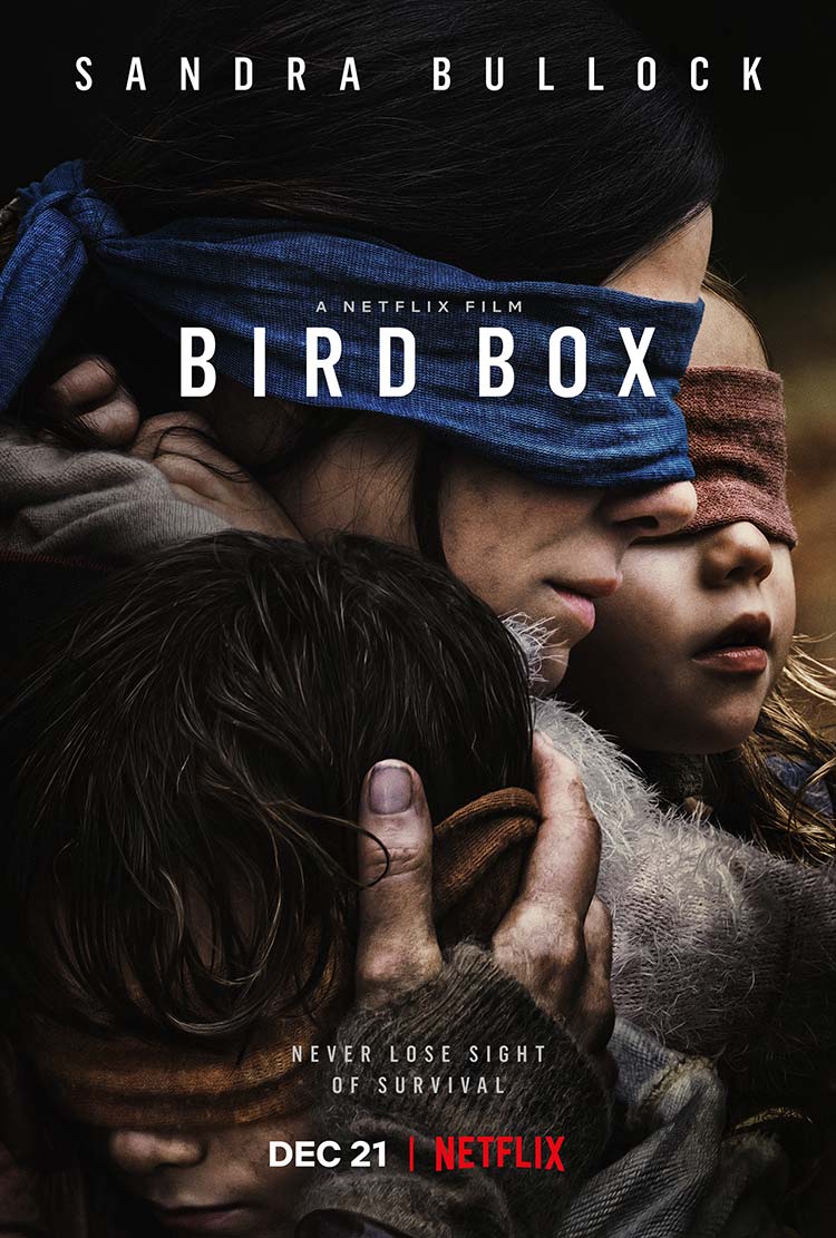 SBO-BirdBox_001.jpg