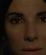 2019-BirdBox-0001.jpg