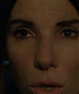 2019-BirdBox-0002.jpg