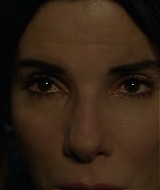 2019-BirdBox-0003.jpg