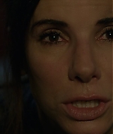 2019-BirdBox-0005.jpg