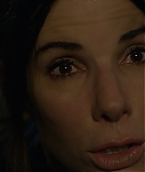 2019-BirdBox-0006.jpg
