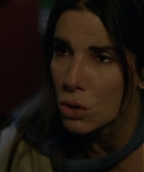 2019-BirdBox-0010.jpg