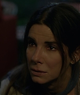 2019-BirdBox-0011.jpg
