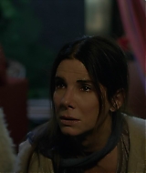 2019-BirdBox-0014.jpg