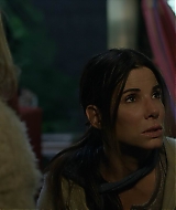 2019-BirdBox-0016.jpg