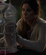 2019-BirdBox-0018.jpg