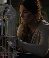 2019-BirdBox-0019.jpg