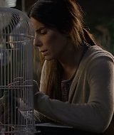 2019-BirdBox-0020.jpg