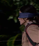 2019-BirdBox-0022.jpg