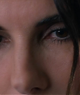 2019-BirdBox-0029.jpg