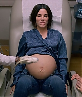 2019-BirdBox-0082.jpg
