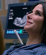 2019-BirdBox-0083.jpg