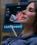2019-BirdBox-0085.jpg
