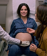 2019-BirdBox-0086.jpg