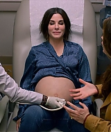 2019-BirdBox-0087.jpg