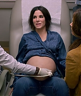 2019-BirdBox-0093.jpg