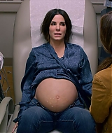 2019-BirdBox-0094.jpg
