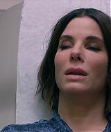 2019-BirdBox-0100.jpg