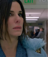 2019-BirdBox-0118.jpg