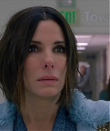 2019-BirdBox-0119.jpg