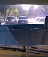 2019-BirdBox-0132.jpg