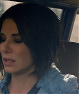 2019-BirdBox-0141.jpg