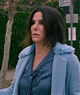 2019-BirdBox-0152.jpg