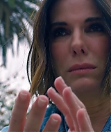 2019-BirdBox-0154.jpg