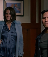 2019-BirdBox-0163.jpg