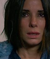 2019-BirdBox-0164.jpg