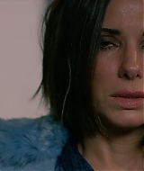 2019-BirdBox-0167.jpg