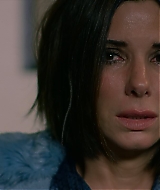 2019-BirdBox-0168.jpg