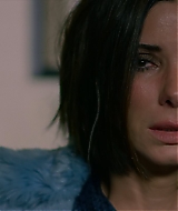 2019-BirdBox-0169.jpg