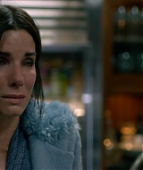 2019-BirdBox-0183.jpg