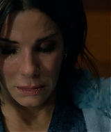 2019-BirdBox-0222.jpg