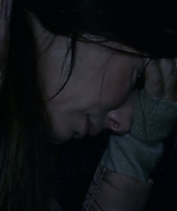2019-BirdBox-0256.jpg