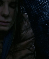2019-BirdBox-0259.jpg