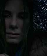 2019-BirdBox-0260.jpg