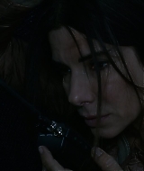 2019-BirdBox-0265.jpg