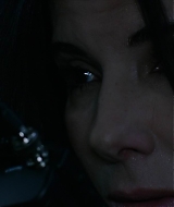 2019-BirdBox-0271.jpg