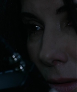 2019-BirdBox-0272.jpg