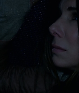 2019-BirdBox-0273.jpg