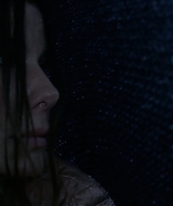 2019-BirdBox-0274.jpg