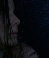 2019-BirdBox-0275.jpg