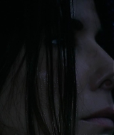 2019-BirdBox-0277.jpg