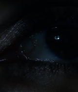 2019-BirdBox-0280.jpg