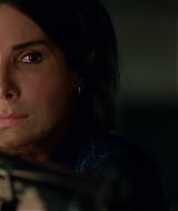 2019-BirdBox-0302.jpg