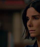 2019-BirdBox-0326.jpg